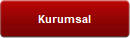 Kurumsal