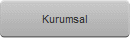 Kurumsal